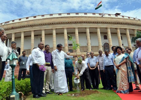 <p>New Delhi: Vice President M. Venkaiah Naidu plants a tree at Parliament premises on his completion of two years in office, in New Delhi on Aug 9, 2019.</p>
