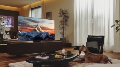 Samsung eyes 65% share in QLED TV segment in India with new range