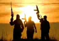Al-Qaeda operates under Taliban protection: UN report