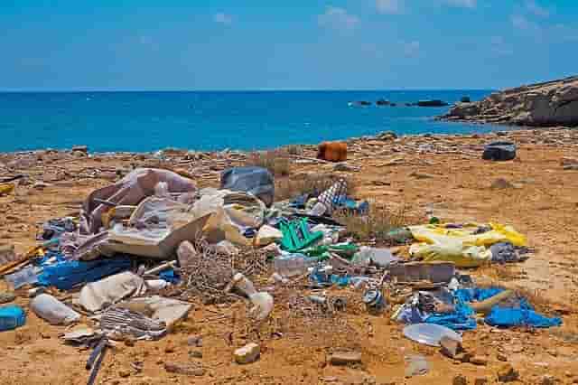 Nat Geo to launch international 'Sea to Source' expeditions against plastic waste