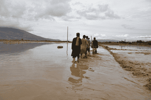 Scientists urge world leaders for unified approach to tackle climate, biodiversity crises