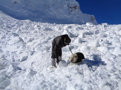 three-army-personnel-killed-in-deadly-siachen-avalanche