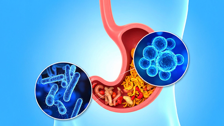healthier-gut-may-hold-the-key-to-combating-depression-and-anxiety-study