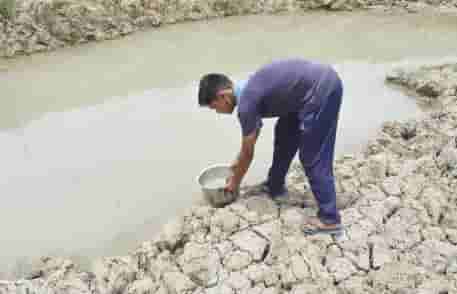 Mercury crossed 41 degree Celsius water resources being dried up in Jharkhand