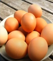 eggs-safe-to-eat-cancer-risk-allegations-unscientific-and-misleading-says-fssai