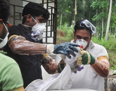 NIMR Collects Bat Samples at Alipore Zoo to Screen for Nipah Virus