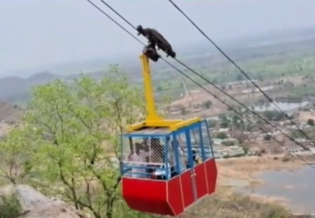 Six Injured After Ropeway Cable Snaps at Khallari Temple in Chhattisgarh