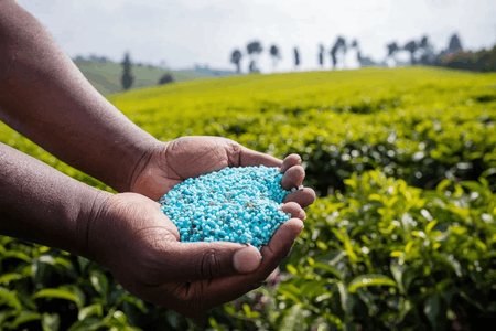govt-assures-adequate-fertiliser-stocks-despite-west-asia-crisis