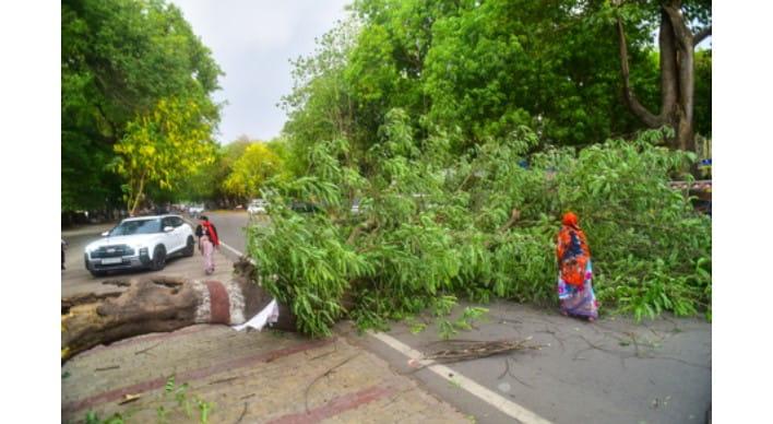 storm-lightning-and-heavy-rain-kill-89-in-uttar-pradesh-cm-yogi-orders-urgent-relief-measures