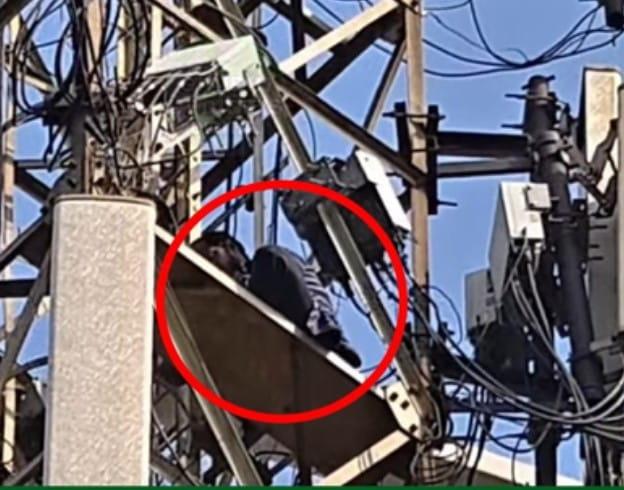 High Drama in Giridih as Youth Climbs 200-Foot Mobile Tower Demanding Marriage With Girlfriend