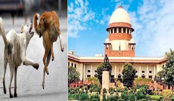 sc-dismisses-pleas-for-modification-recall-of-directions-on-relocation-sterilisation-of-stray-dogs