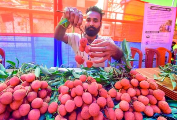 Tezpur Litchi Goes Global: Assam’s GI-Tagged Fruit Makes Export Debut in Dubai