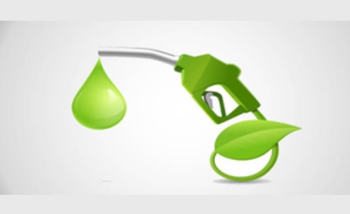 centre-rejects-reports-describing-e20-ethanol-programme-as-an-experiment-before-supreme-court