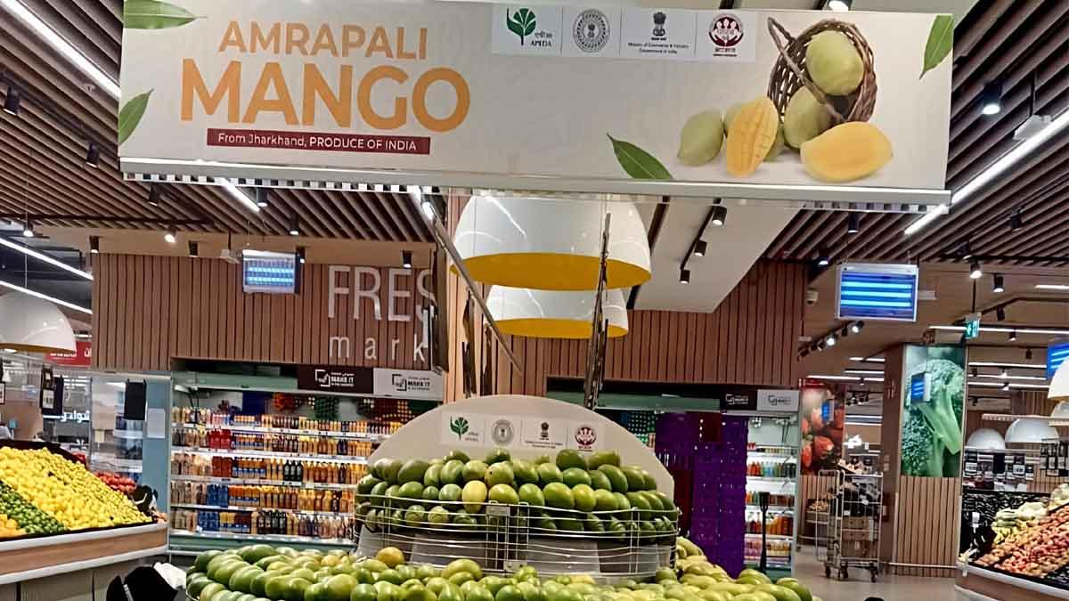 deoghars-amrapali-mangoes-reach-dubai-market