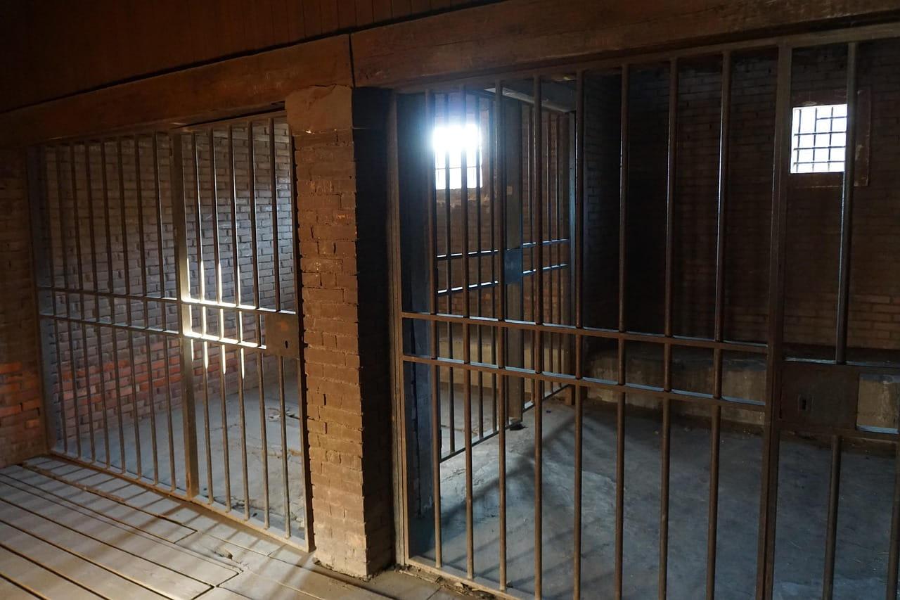 NGO reports custodial deaths, tortures in China's Xinjiang