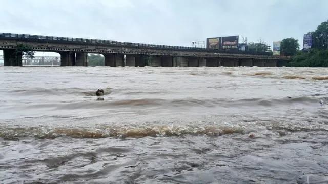 jamshedpur-faces-flood-threat-as-subarnarekha-kharkai-rivers-cross-danger-marks