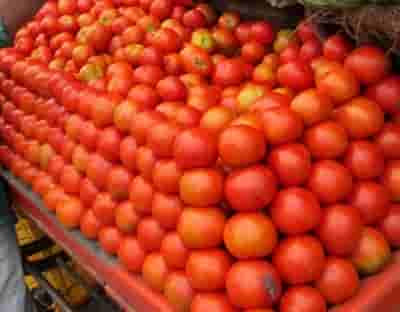 150 kg tomatoes stolen in Jaipur