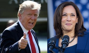 US Election: Polls aggregation changes giving Harris miniscule lead