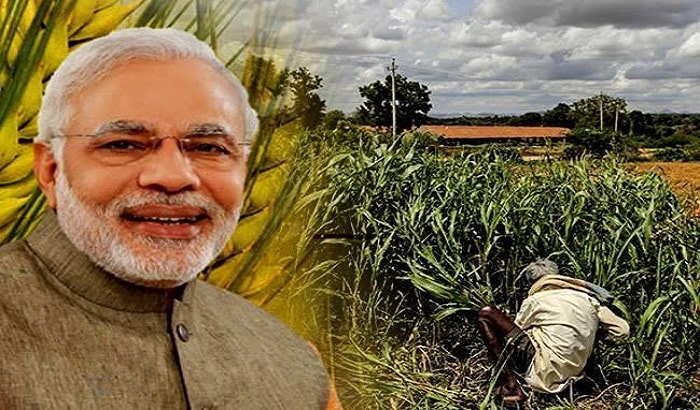 Second installment of funds under PM Kissan Yojana distributed among more than 13 lakh farmers