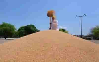 Will India emerge as key global player in wheat after sanctions on Russia?