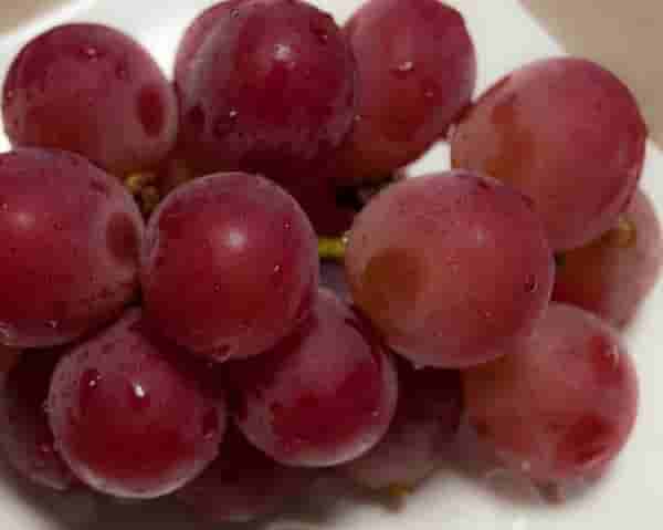 Bunch of red Japanese grapes sold for $11,000 at auction