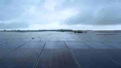 India's economy already 10% more energy efficient than G20 average: IEA