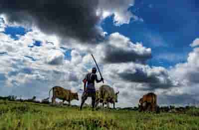 New farm laws will benefit small, marginal farmers most: PM