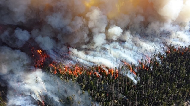 Trump tours area devastated by wildfire with California governor