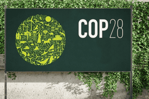 COP28: 131 global cos call on world leaders to 'phase out' fossil fuels