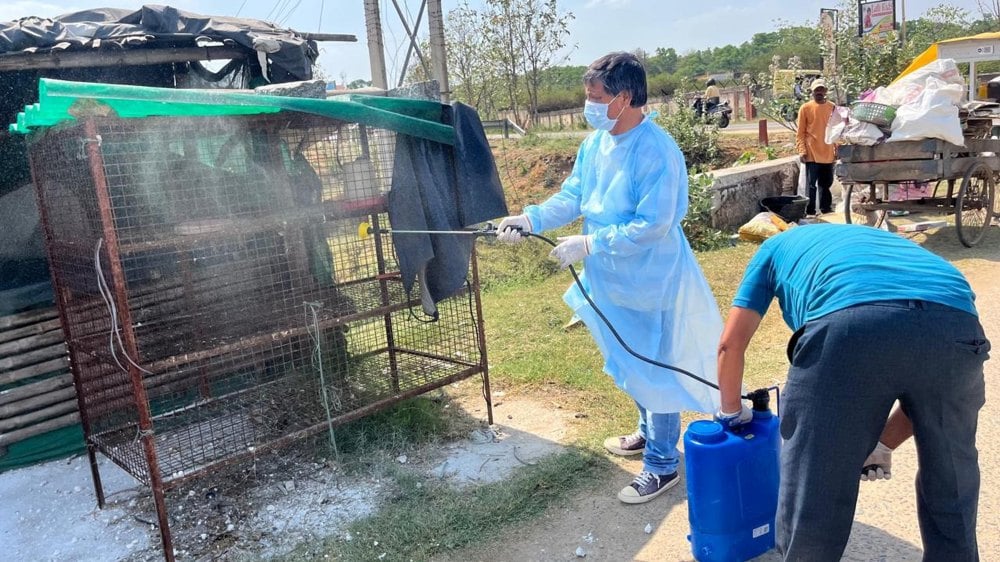 Outbreak of bird flu, the work of culling, scientific disposal and complete disinfection of poultry within a radius of 1 kilometre of the affected area