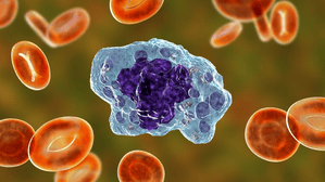 New macrophage discovery could revolutionize lung repair therapy