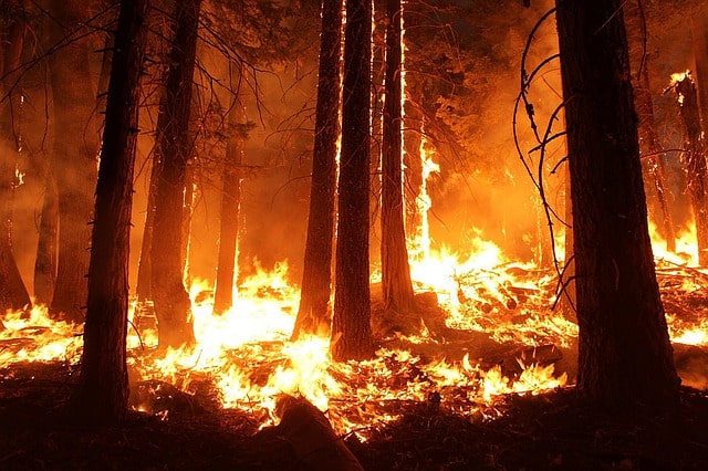 California wildfires toll rises to 31