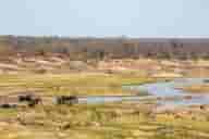 S.Africa tourism shows signs of recovery