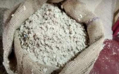 Goa ration card holders get rice swarming with maggots, mites, fungus