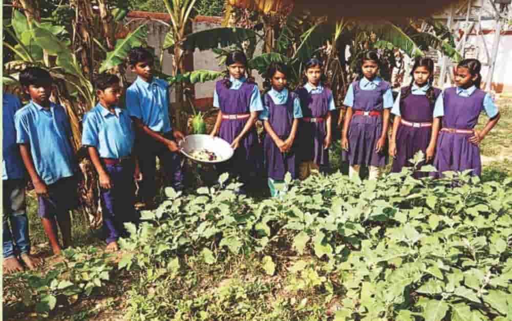 Kitchen gardens will be developed in five thousand government schools: organic greens and vegetables will be in the mid-day meal plate