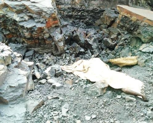 Four die in illegal mining in Jharkhand