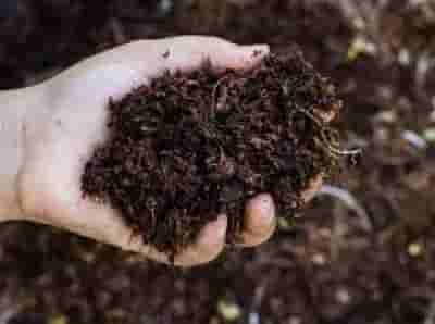 Govt faces uphill task to raise fertiliser output amid high import dependency