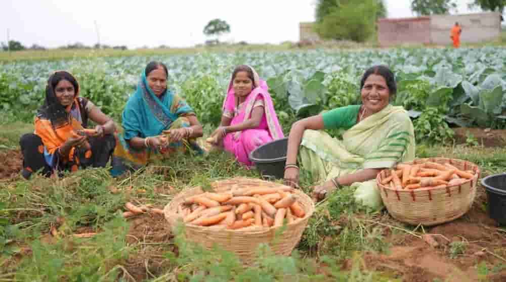 Govt taking effective steps to empower rural women