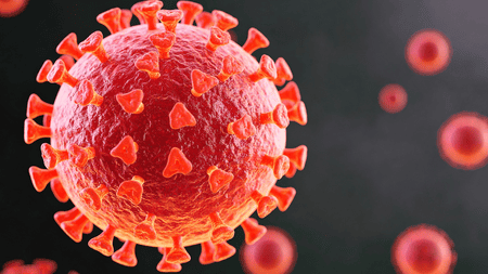 Covid-19 Virus Protein May Trigger Immune Attack on Healthy Cells: Study