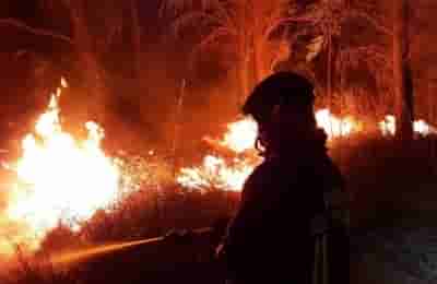 Wildfires burn 60,000 hectares in Italy this year: Industry Association