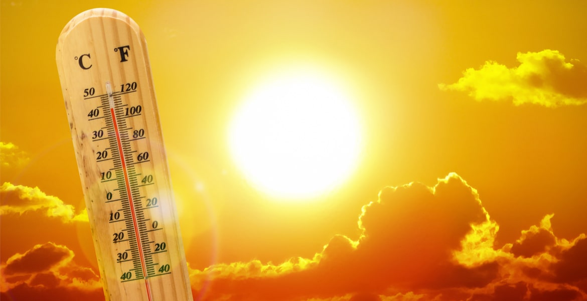 People complain of hot weather in January itself as minimum temperature continues to rise 