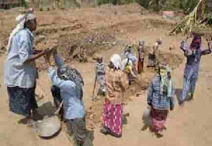 MNREGA Park: Financial booster for Jharkhand Villagers