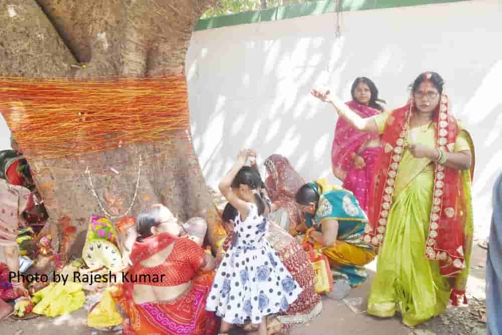 Vat Savitri Puja celebrated in Ranchi