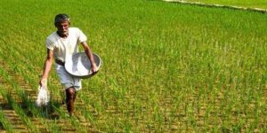 So far farmers loans worth Rs 1529.01 crore have been waived off