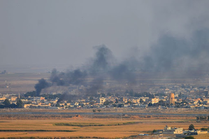 Joint airstrikes with Russia kill 30 rebel militants in Syria: Reports