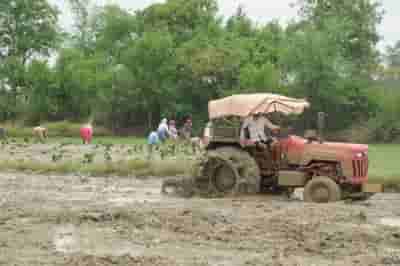 Rural consumption at six quarter low led by declines in tractor sales, farm exports