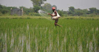 Banned pesticides found in several parts of TN, govt to take action