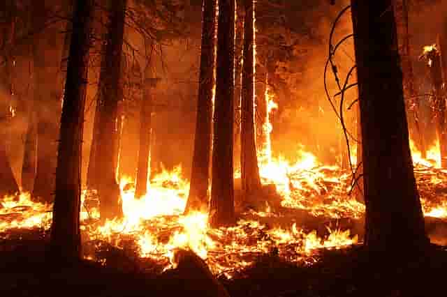 2 more confirmed dead, several missing in Aus bushfires