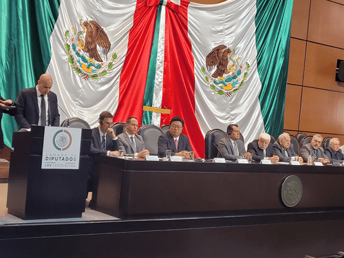 UFO expert presents 'non human' bodies at Mexican Congress: Report