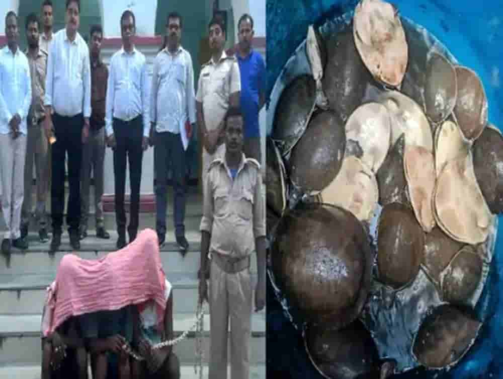Tortoise smuggler arrested from Deoghar airport, 39 rare turtles recovered from smugglers, police active on purchase and sale